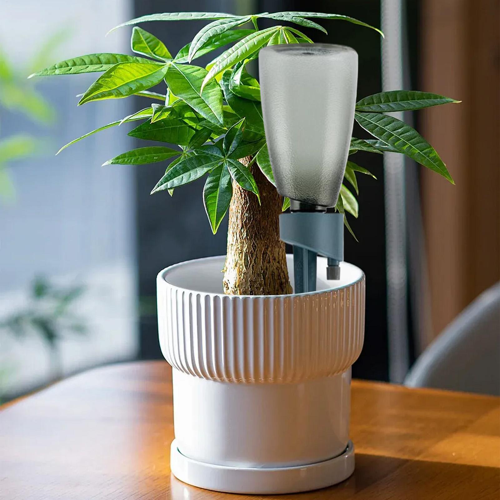 6-teiliges Automatisches Bewäs – Self Watering Insert Bewertung und Preis