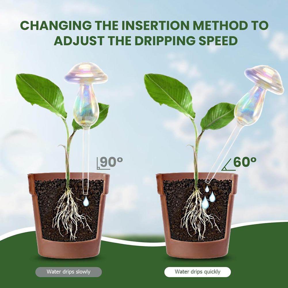 A56K Pflanzenbewässerungskugel – Self Watering Insert Bewertung und Preis