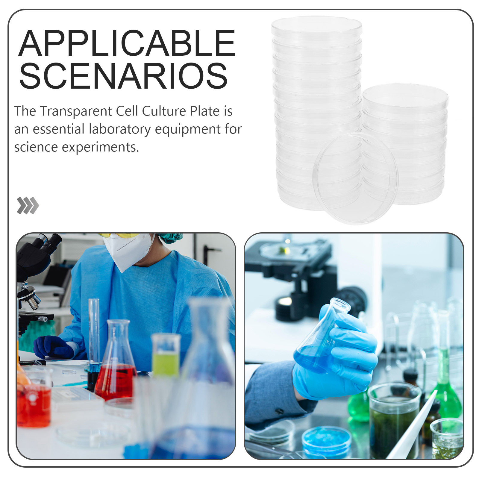 20 Stück zuverlässige sterile  – Agar Tissue Culture Bewertung und Preis
