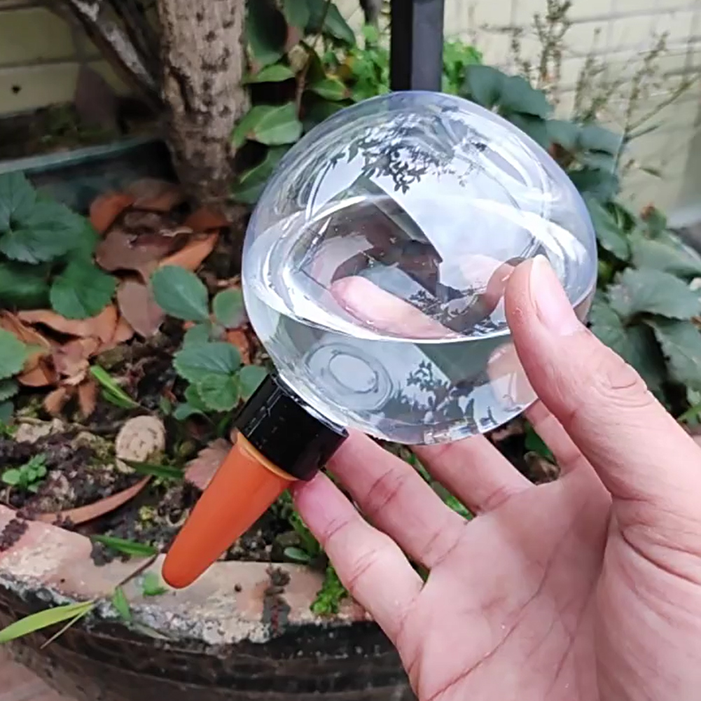500ML Selbstbewässernde Globen – Self Watering Insert Bewertung und Preis